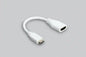 Mini HDMI C/Male to HDMI A/Female cable